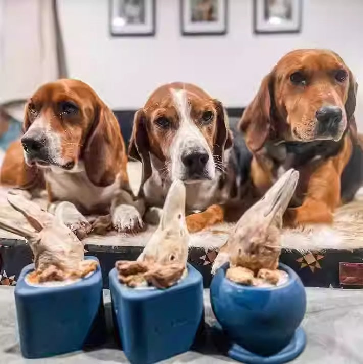 Natural Rubber Bite-resistant Stress-relieving Dog Force-feeding Toy