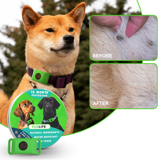 Pet Shield Flea & Tick Collar
