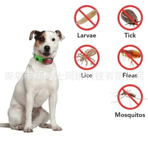 Pet Shield Flea & Tick Collar
